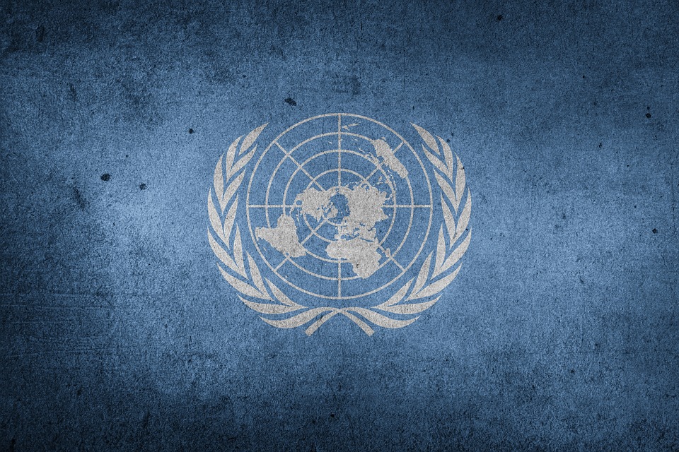 Кому не нравится резолюция ООН?